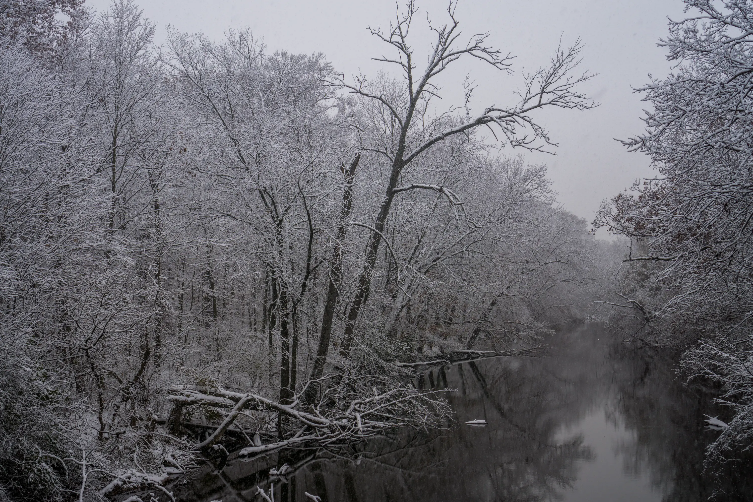 Red Cedar River after Snow.