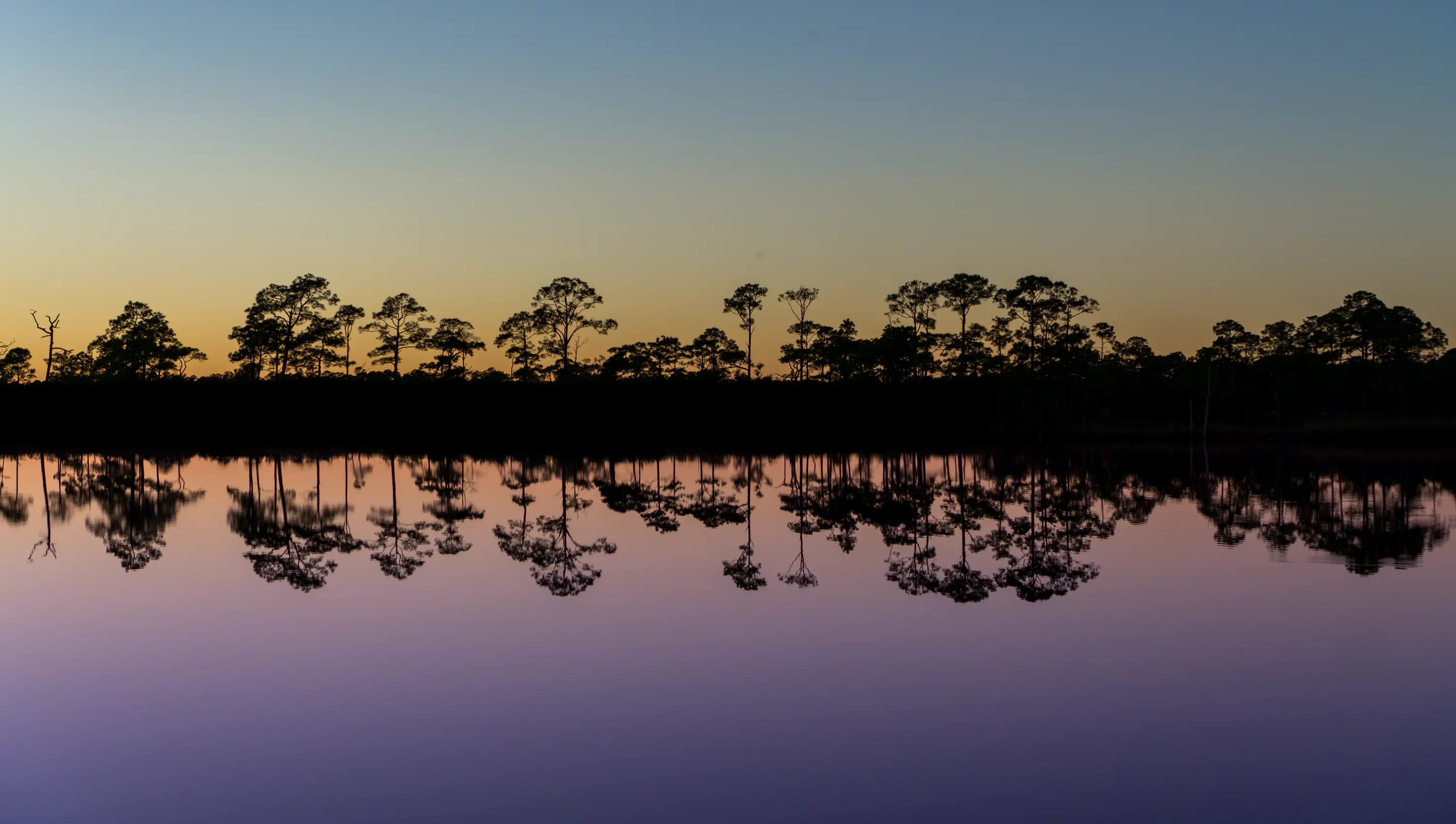 Reflected Pines. Colors mostly my own.