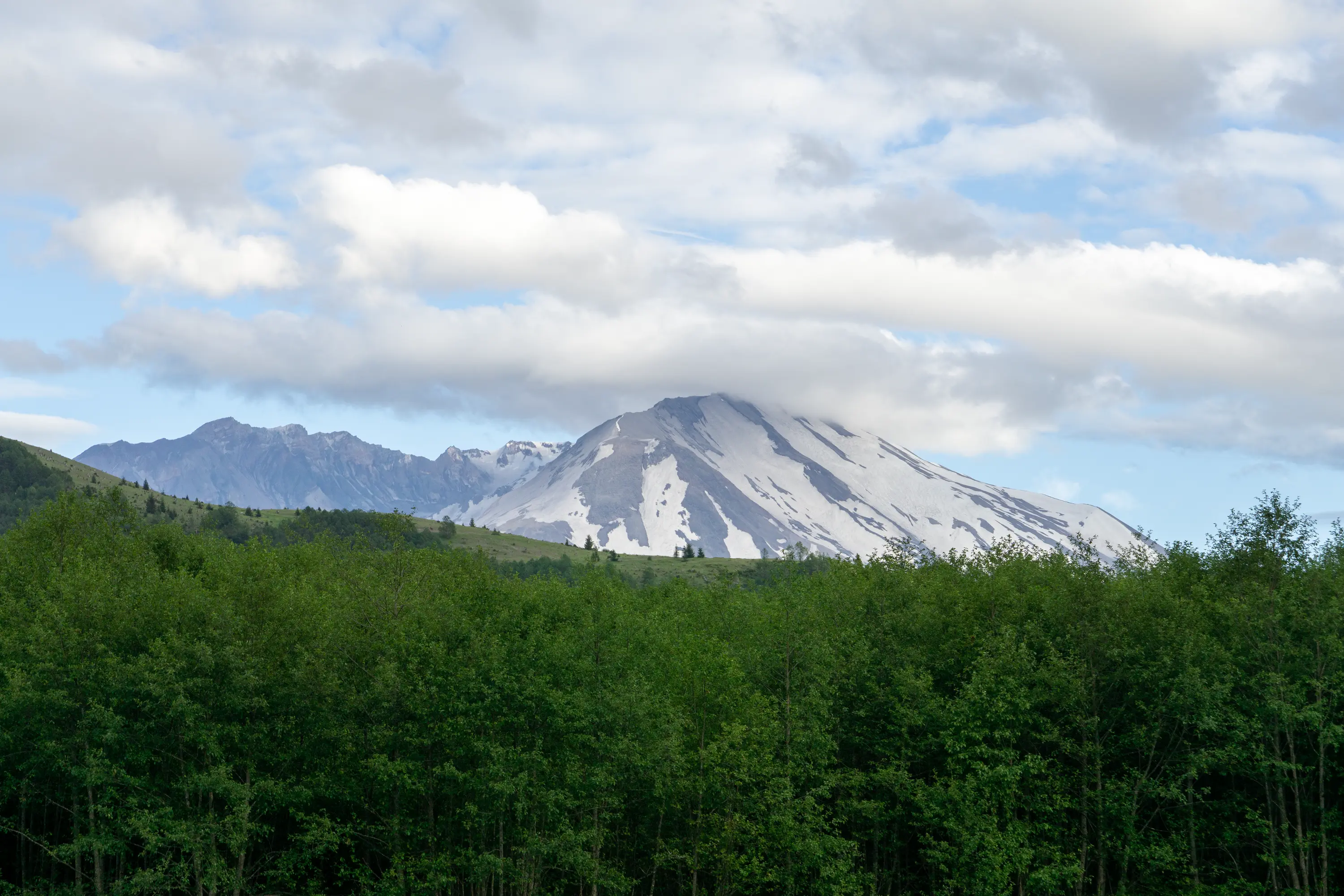 Mt. St. Helens summit and greenery.