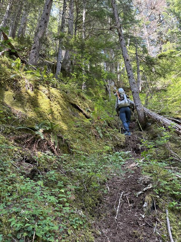 A typical section of the climbers trail up the ridge