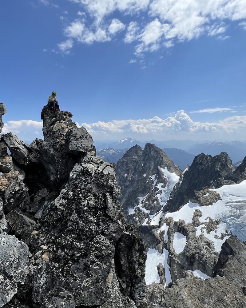 Darwin at the summit spire