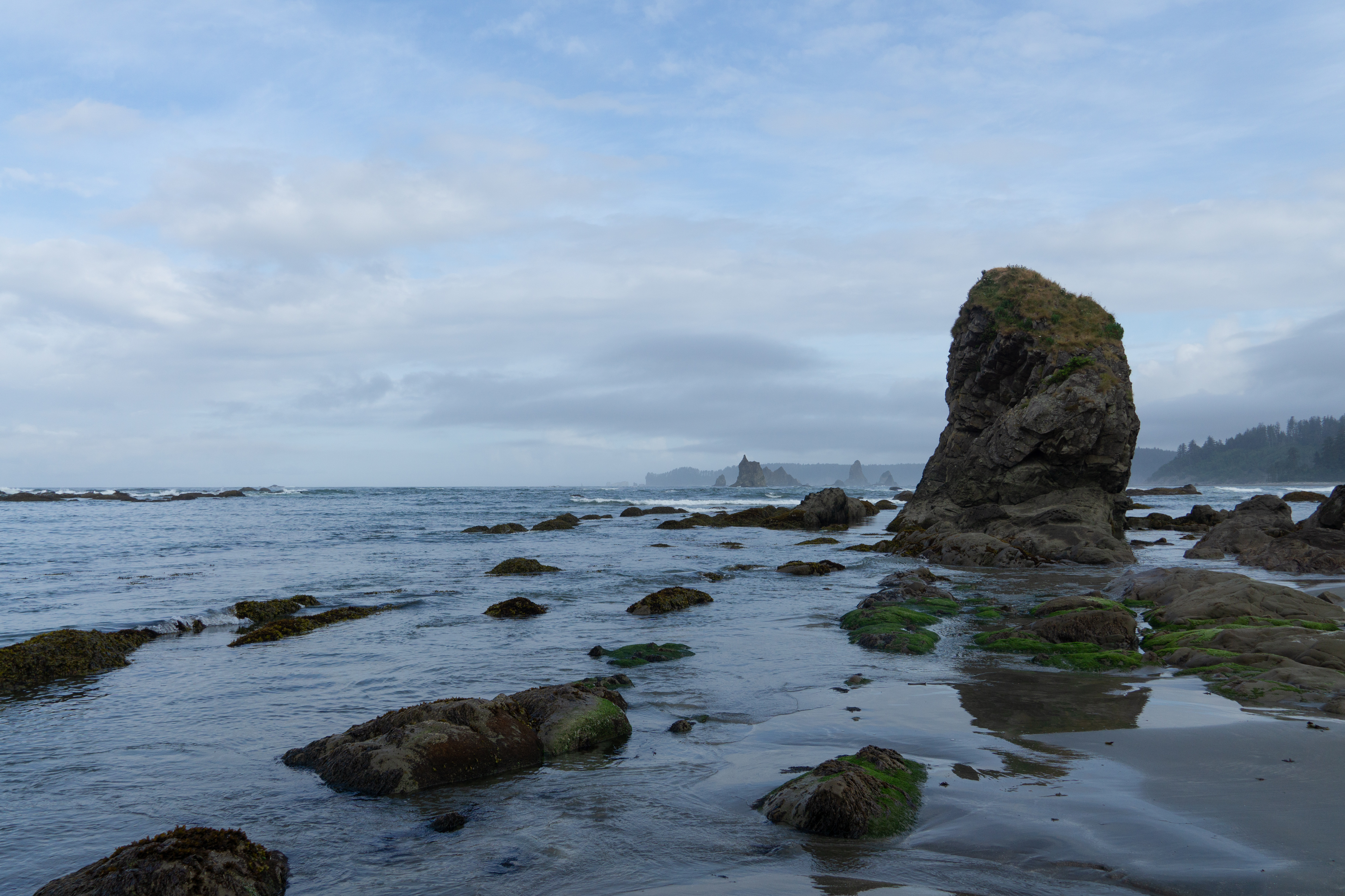 Olympic Coast