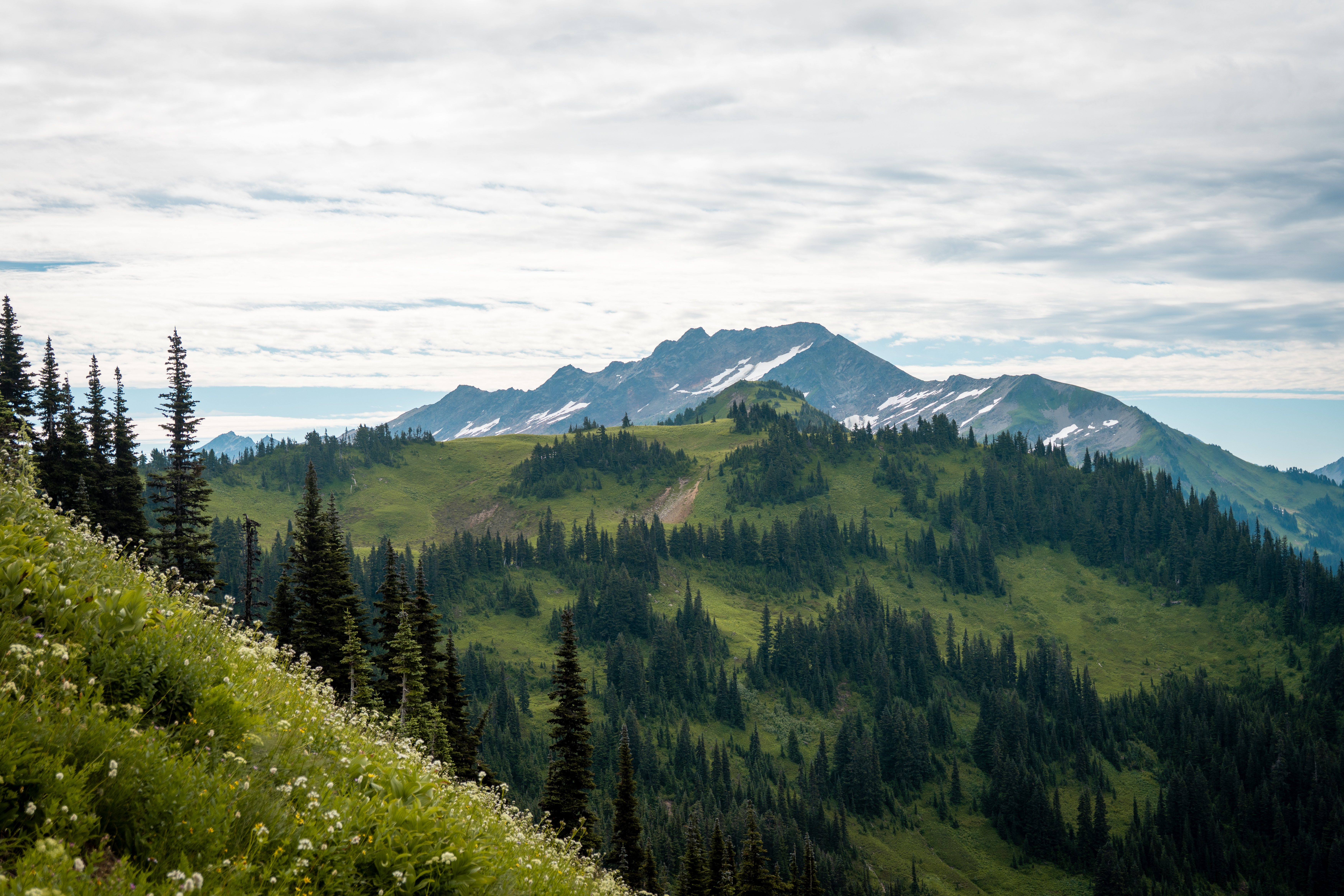 White Pass, near the PCT